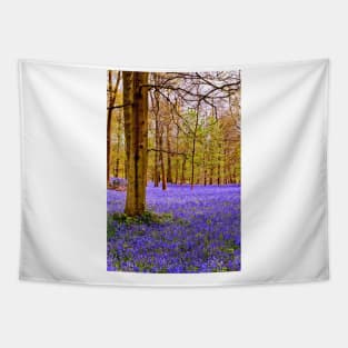 Bluebell Woods Greys Court England UK Tapestry