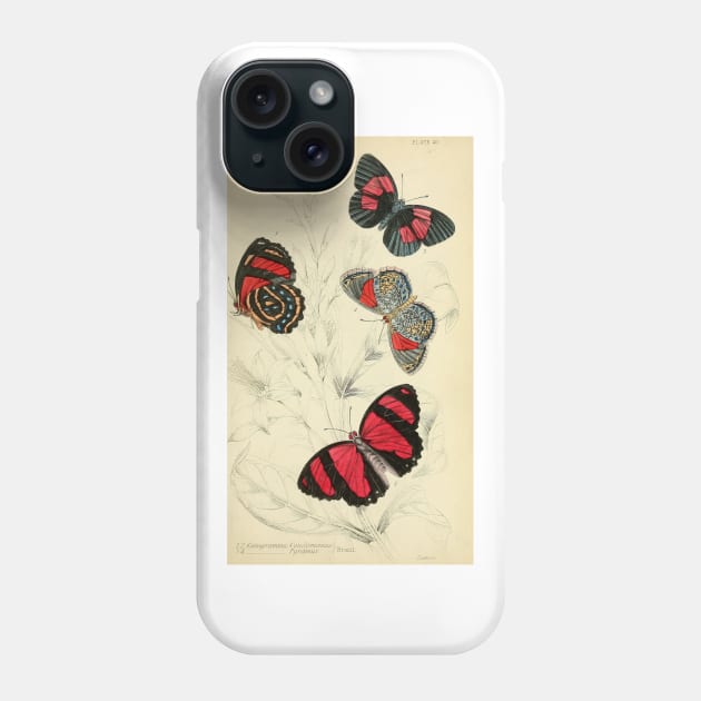 Foreign Butterflies (plate 20) Phone Case by Jeramy's Store 1