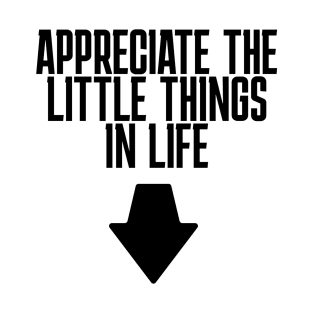 Bachelor Party Appreciate the little things in life T-Shirt