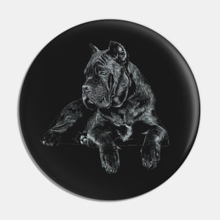 Cane Corso Italiano Pin