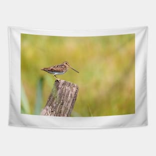 Common snipe bird sitting on tree trunk Tapestry