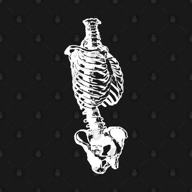 Spine by 𝕮𝖍𝖗