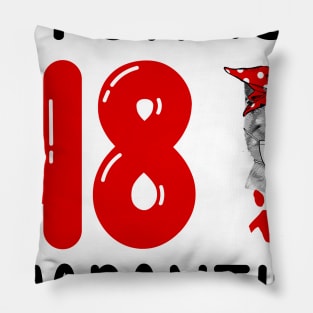 I Turned 48 In Quarantine Funny Cat Facemask Pillow