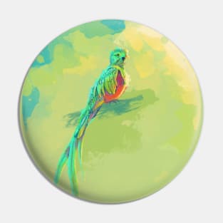 Resplendent Quetzal - digital bird illustration Pin