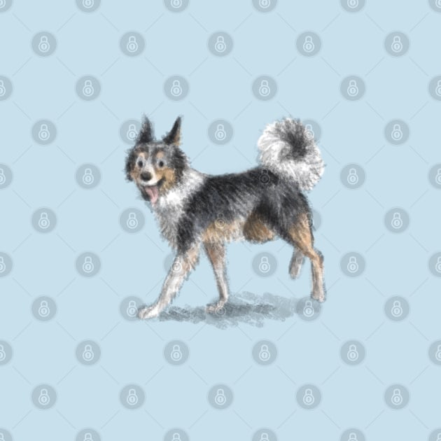 Border Collie Dog by Elspeth Rose Design