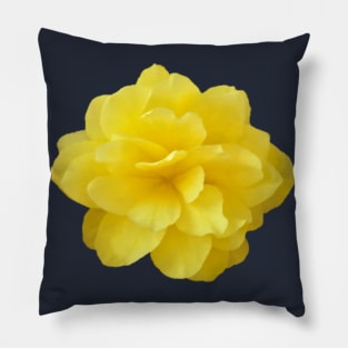 Yellow Double Begonia Flower Close-up Pillow