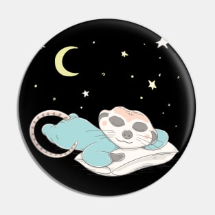 Lovely cute meerkat is sleeping on a pillow Pin