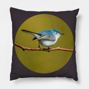 Little Cute Bird Photograph. Blue-Gray Gnatcatcher Pillow