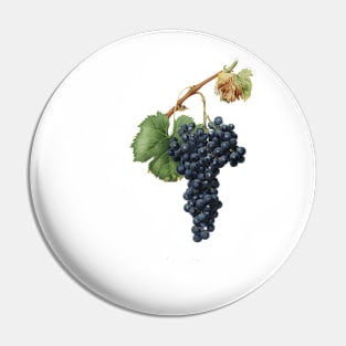 vintage grapes print Pin