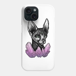 Galaxy Kat II Phone Case