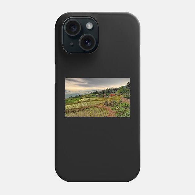 The Rice Terraces of Y Ty Phone Case by PeterH