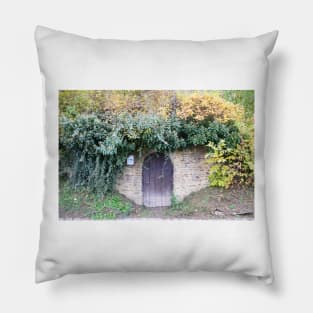 Cellar in Burgenland Pillow