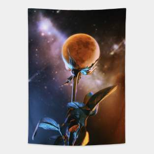 Night Bloom Tapestry