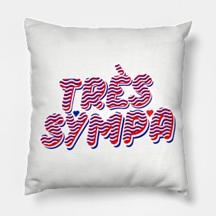 Parlez vous français? Pillow