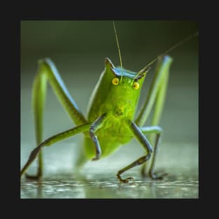 Grasshopper. T-Shirt