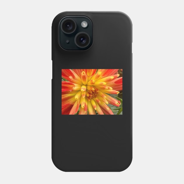 Bursting Yellow and Orange Dahlia of Joy and Happiness Phone Case by Photomersion