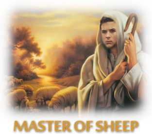 Master of sheep Magnet