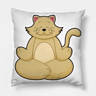 Cat at Yoga Stretching exercise in Cross legged Pillow