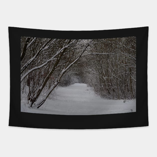 snow uk 2018 tree tunnel beast from the east Tapestry by Simon-dell