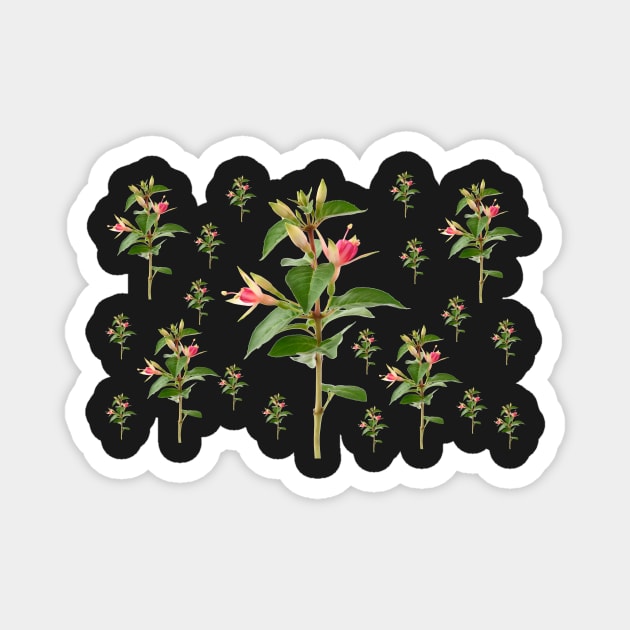 Fuchsia 'Princess Charlotte' Magnet by chrisburrows