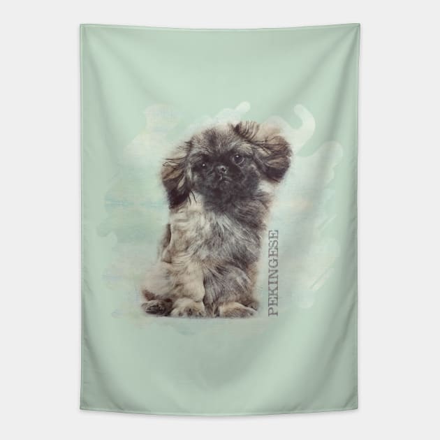 Sketch  of fluffy  Pekingese puppy Tapestry by Nartissima