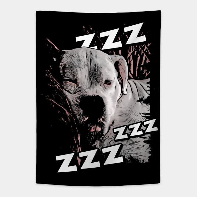 Boxer sales dog snoring