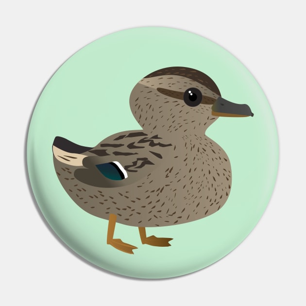 Cute female mallard Pin by Bwiselizzy