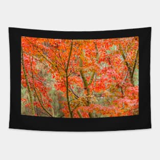 Japanese Maple Tapestry