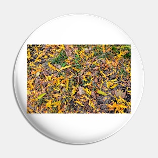 Field of fall Pin