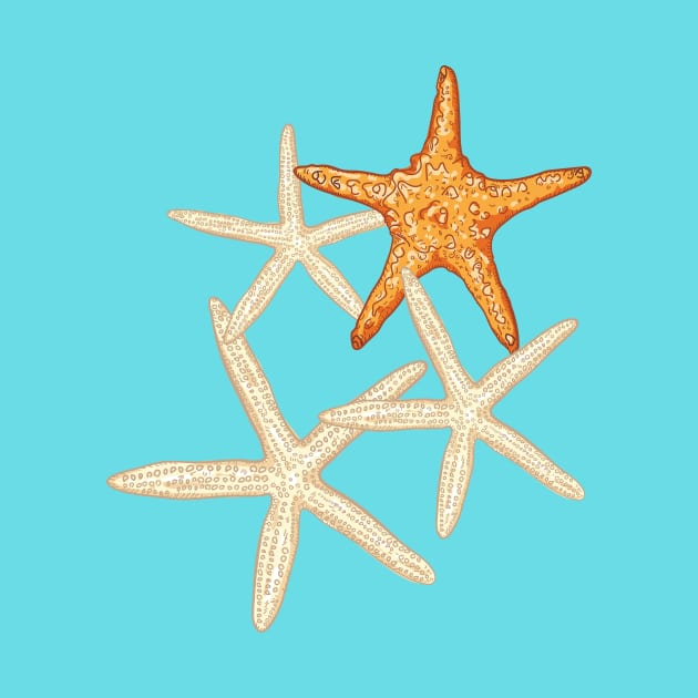 Starfish by SWON Design