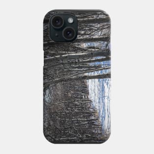 Trail through the trees. Phone Case