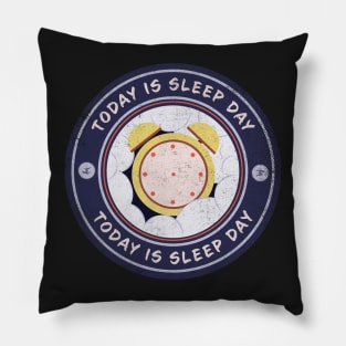 Today is Sleep Day Pillow