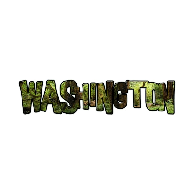 Washington (Forest View) by gorff