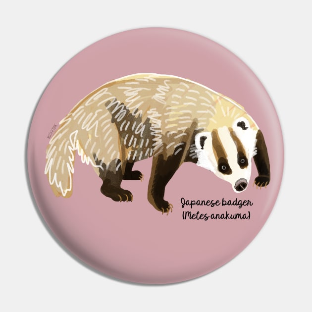 Anakuma the Japanese badger #1 Pin by belettelepink