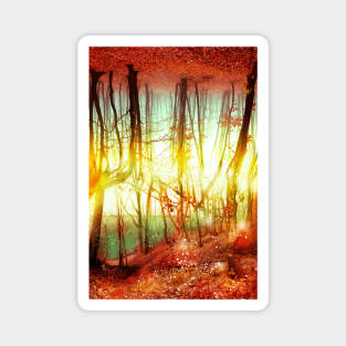 Endless Forest autumn forest red leaves optical illusion golden time Magnet