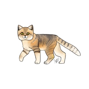 Cat - Sand Cat - Striped T-Shirt