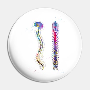 Brain with spinal cord Pin