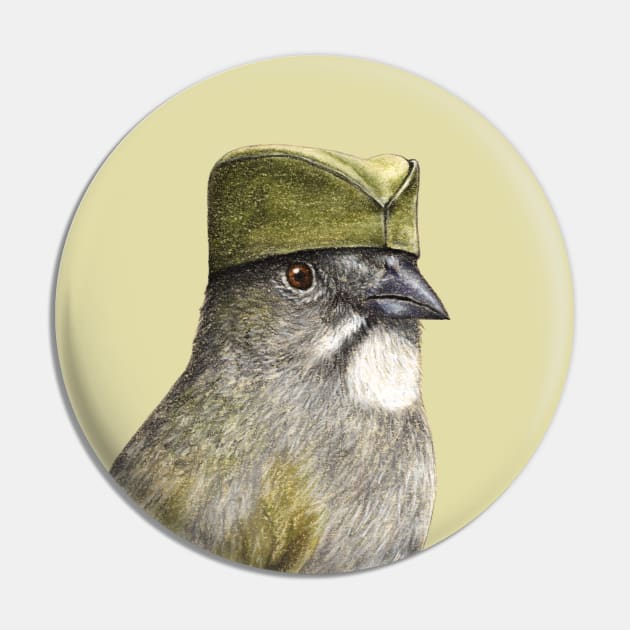 Green-tailed towhee Pin by Mikhail Vedernikov