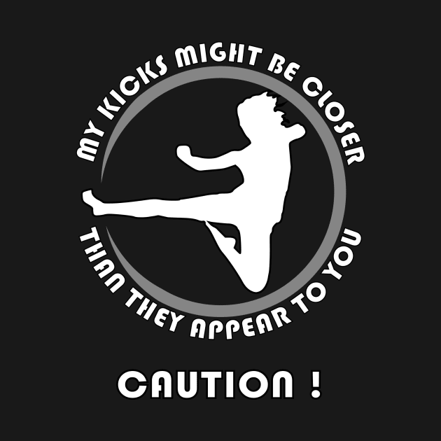 Caution! My kicks might be closer than they appear to you. by Dojo Artist