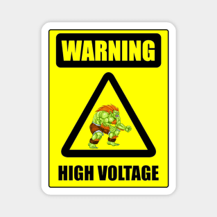 High Voltage Blanka Magnet