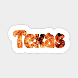 Texas Magnet