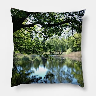 Tree branches hanging over a pond Pillow