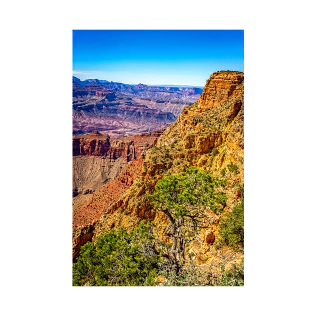 Lipan Point Grand Canyon by Gestalt Imagery