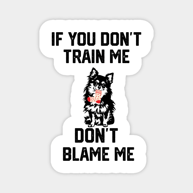 if you don't train me don't blame me Magnet by spantshirt