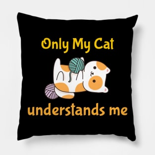 Only My Cat Understands Me Pillow