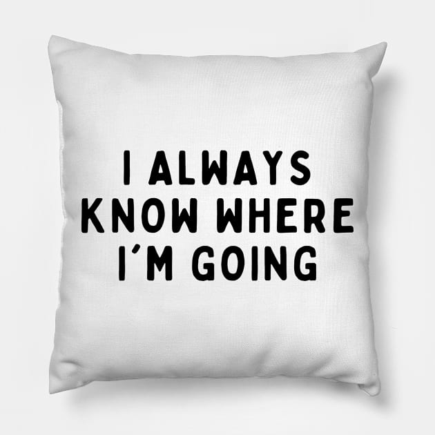 I Always Know Where I'm Going, Funny White Lie Party Idea Outfit, Gift for My Girlfriend, Wife, Birthday Gift to Friends Pillow by All About Midnight Co