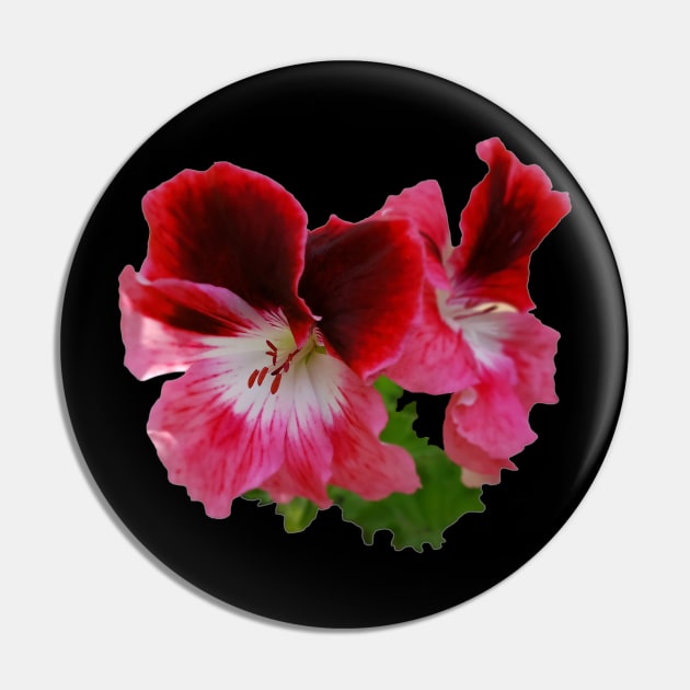 Flower design. Geranium (Pelargonium) Pin by etihi111@gmail.com