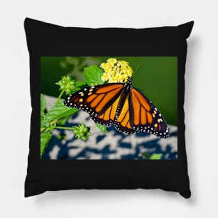 Monarch Butterfly Pillow