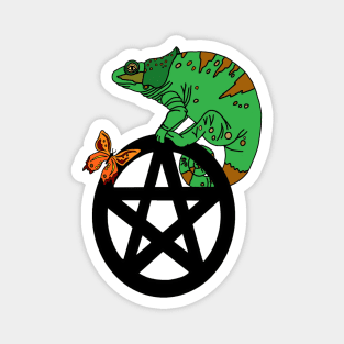 Chameleon Pentacle Magnet