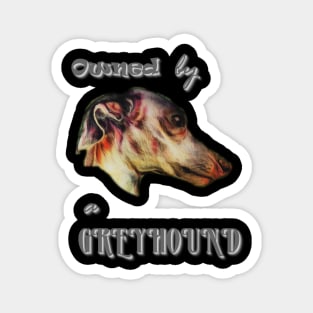 owned by a greyhound Magnet